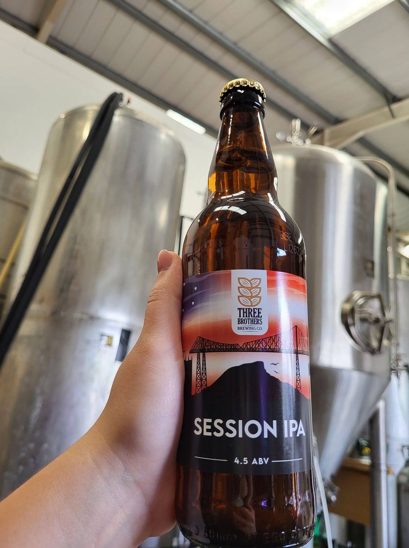 Session IPA 500ml Bottle Three Brothers Brewing Company